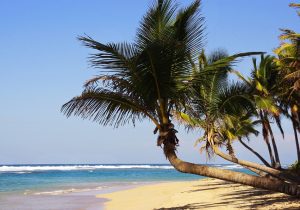 Lee más sobre el artículo Que ver en Punta Cana en la República Dominicana