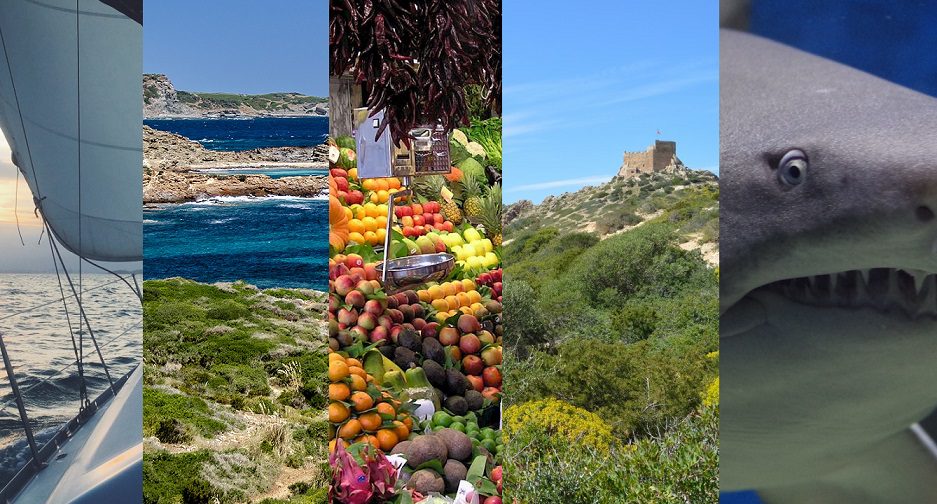 Lee más sobre el artículo 5 actividades imprescindibles que hacer en las islas Baleares
