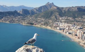 Lee más sobre el artículo Pueblos que visitar en la provincia de Alicante