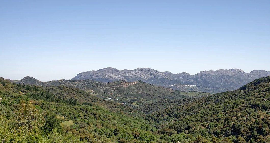 Lee más sobre el artículo Camping en Málaga – Vacaciones en la naturaleza