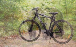 Lee más sobre el artículo La Senda del Oso en bici, una ruta perfecta para explorar Asturias sobre dos ruedas