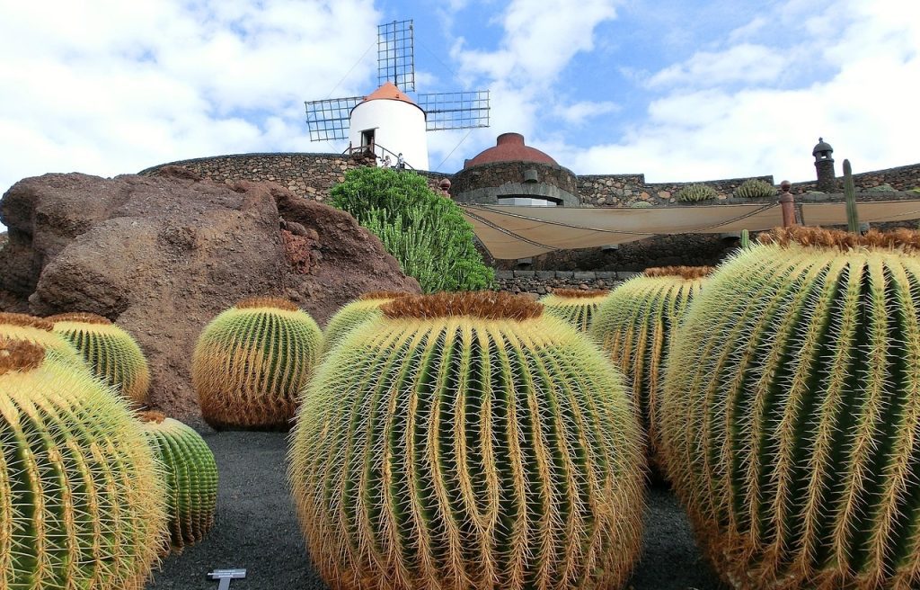 Lanzarote Isla