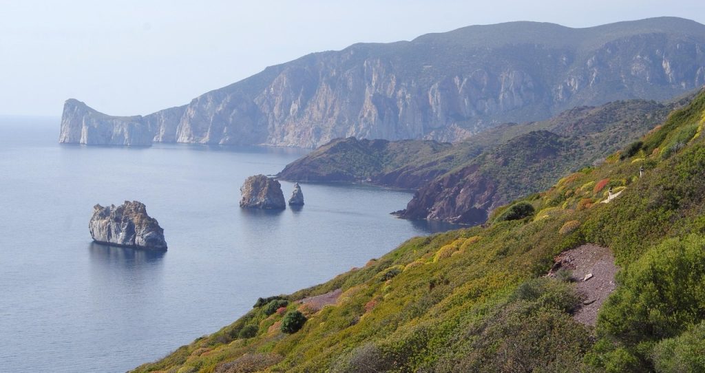 Pan Di Zucchero