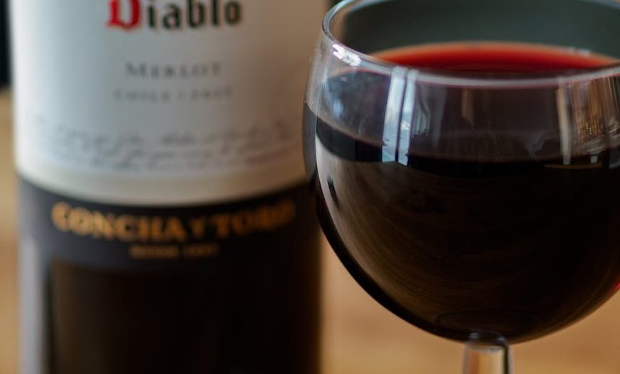 Lee más sobre el artículo Viña Concha y Toro: Un viaje al corazón del vino chileno