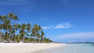 Lee más sobre el artículo Punta Cana, mucho más que vacaciones: un lugar para vivir el Caribe