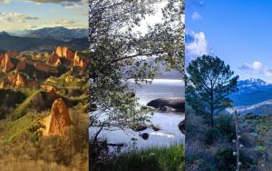 Lee más sobre el artículo Castilla y León en estado puro: turismo rural, piscinas naturales, cielos nocturnos y buena mesa