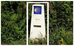 Lee más sobre el artículo ¿Qué hacer si quieres hacer el Camino de Santiago pero solo tienes una semana?